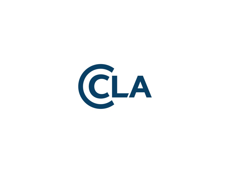 Independent Non-Executive Director, Copyright Licensing Agency (QABWMB)